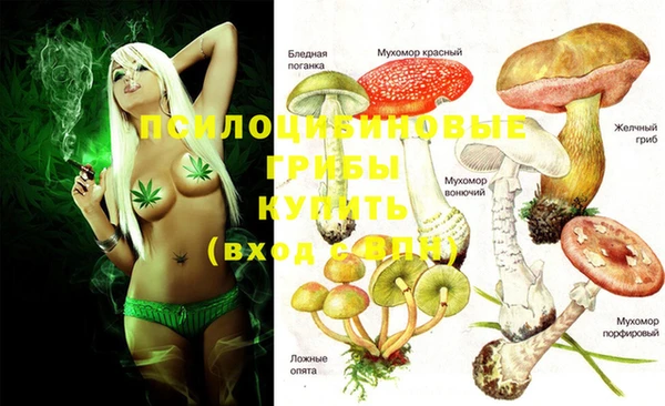 mdma Абаза