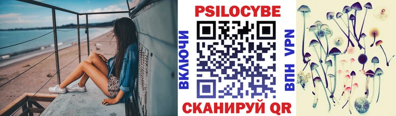 где купить   Стрежевой  Галлюциногенные грибы GOLDEN TEACHER 